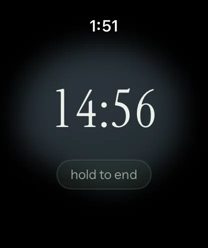 A sitting in progress on Apple Watch